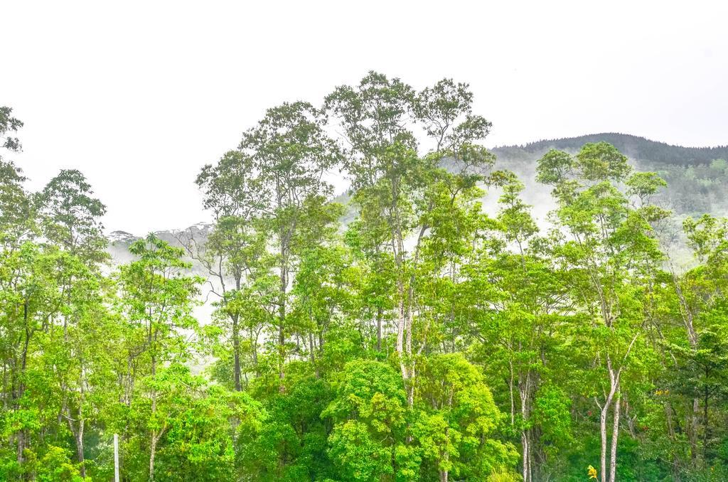 Hanthana Holiday Rooms Kandy Exterior photo